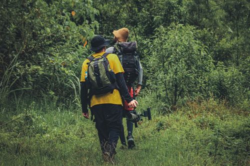 Free Two adults hiking through lush green forest with camera gear, capturing the journey. Stock Photo