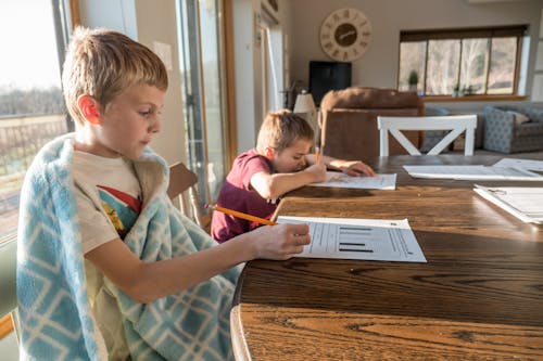 Free Schoolkids doing study task at home Stock Photo