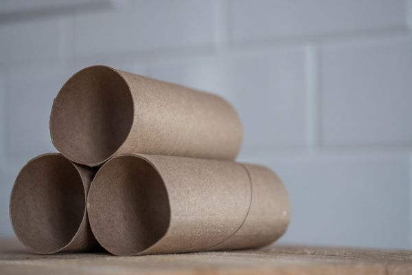 recycled toilet paper