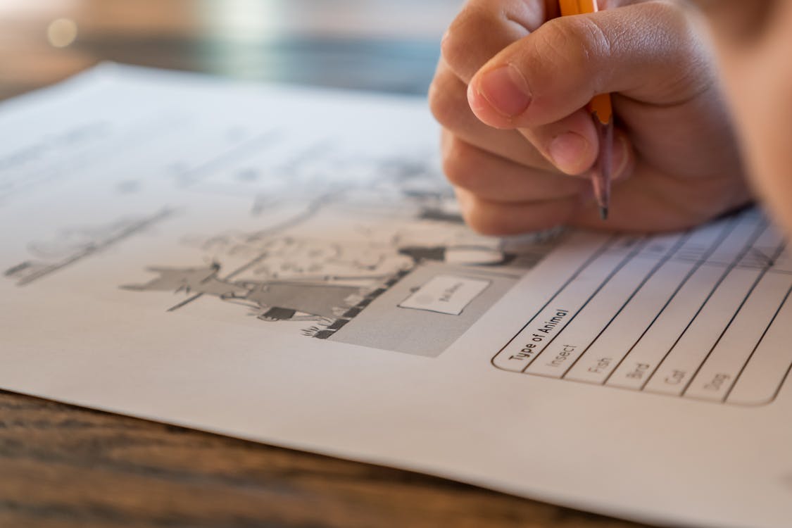 Free Closeup of crop anonymous elementary school pupil with pencil in hand doing marks on paper sheet with test about animals during lesson Stock Photo