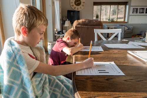 Concentrated schoolkids studying at home