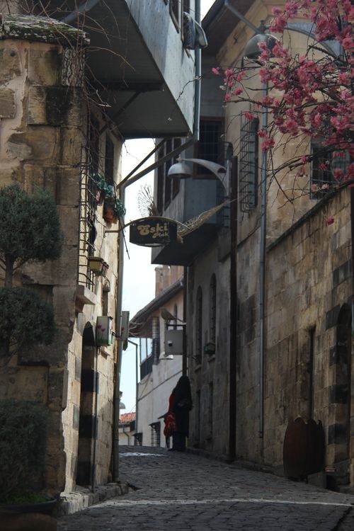 Free A quaint historic alley lined with stone buildings and pink blossoms in spring. Stock Photo