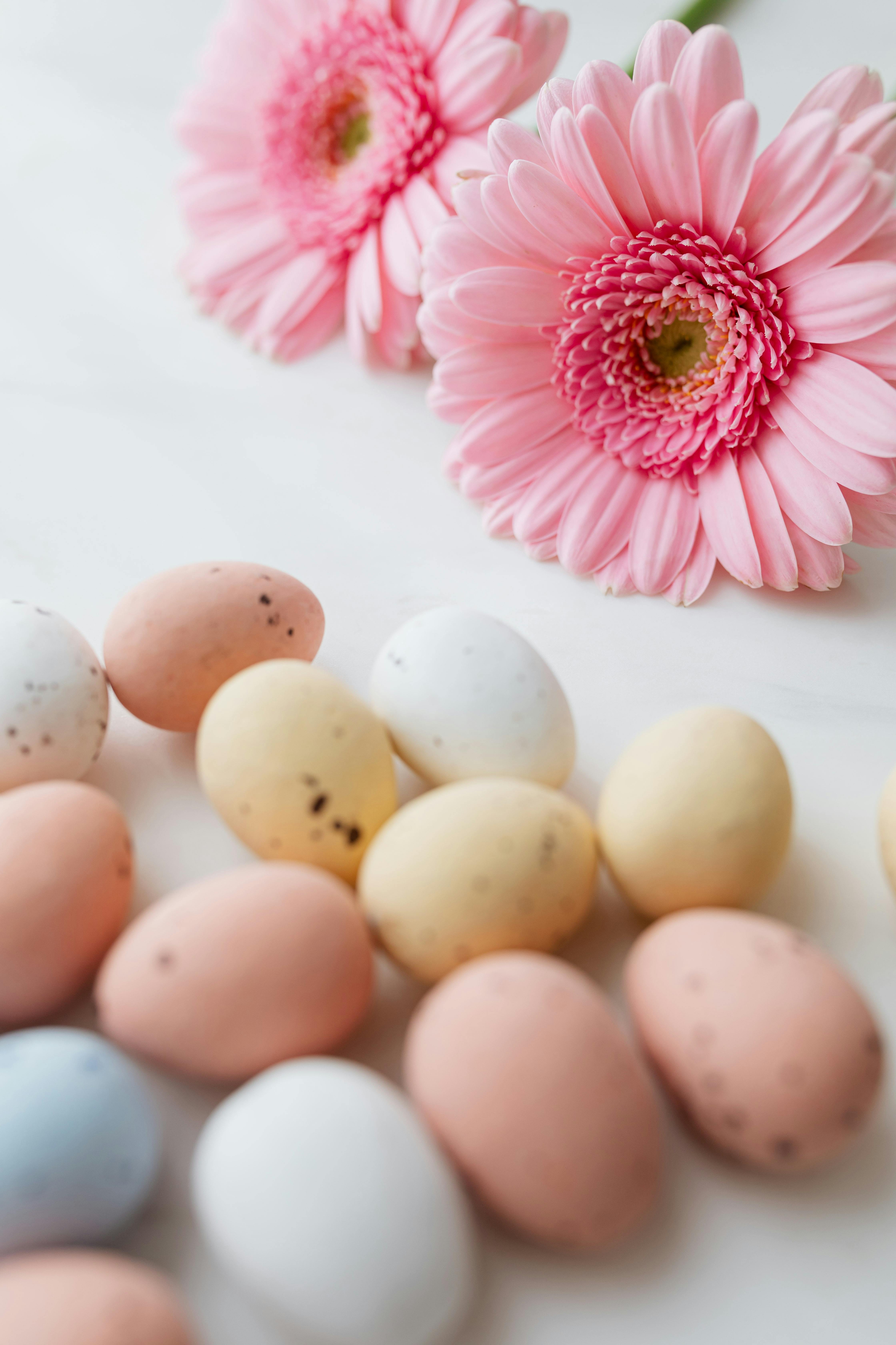 Wallpaper ID 306561  Holiday Easter Phone Wallpaper Egg Easter Egg  Colorful Colors Flower 1440x3120 free download