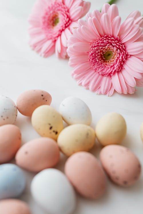 Ilmainen kuvapankkikuva aiheesta asetelma, hyvää pääsiäistä,  kausiluonteinen, munat, pääsiäinen, pääsiäinen tausta, pääsiäinen taustakuva,  pääsiäismunat, pastelli, perinteinen, pilkullinen, pinkit kukat, valkoinen  tausta