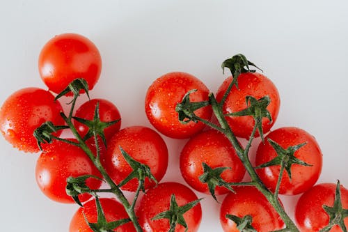 Composition of red tomatoes with water drops