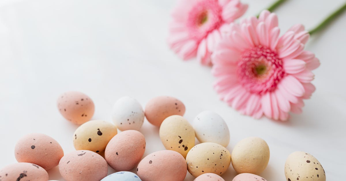 元宵過後,生活的新篇章即將展開