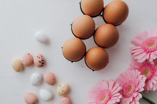 Kostnadsfria Kostnadsfri bild av ägg, äggbricka, årstid Stock foto