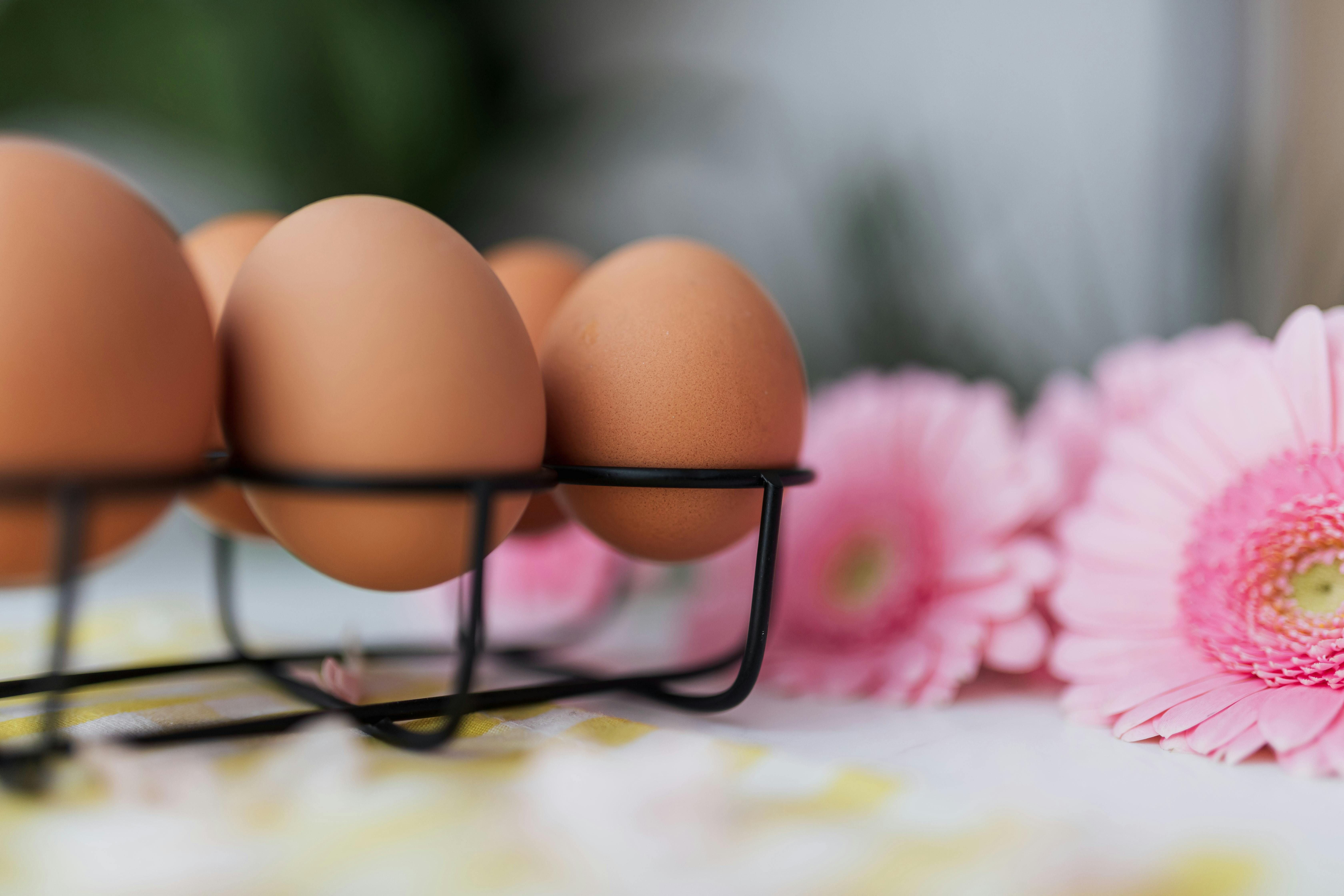 Eggs and Pink Flowers · Free Stock Photo