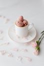 Easter Eggs and Pink Flowers