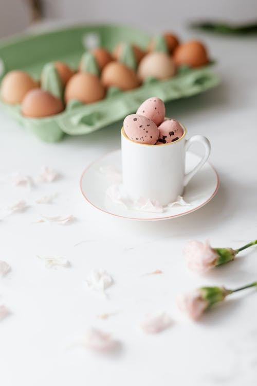 Foto profissional grátis de bandeja de ovos, borrão, caneca