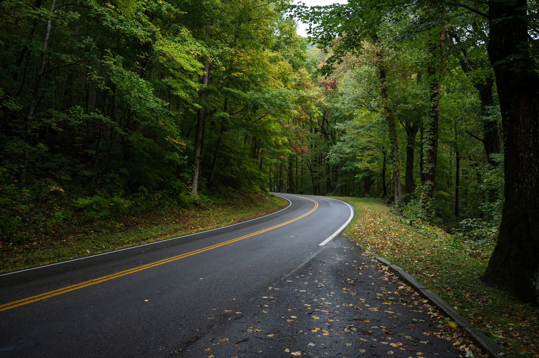 Fall Foliage Drives from Springfield, Tennessee: Robertson County by Backroad