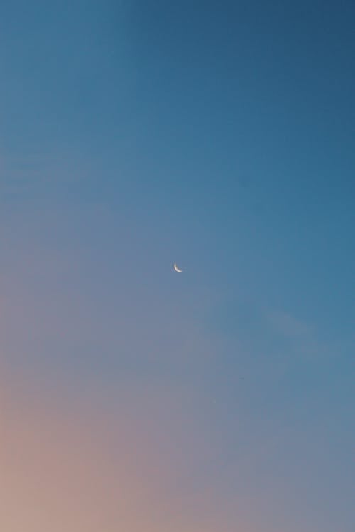 Free Moon in a Twilight Sky  Stock Photo
