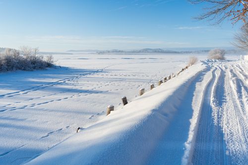 Free Idyllic winter scene with snow-covered field and clear blue sky, perfect for seasonal themes. Stock Photo