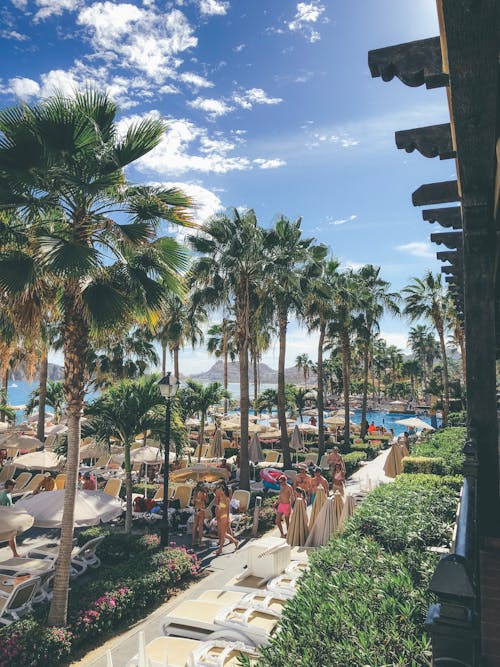 A Tropical Resort under a Blue Sky