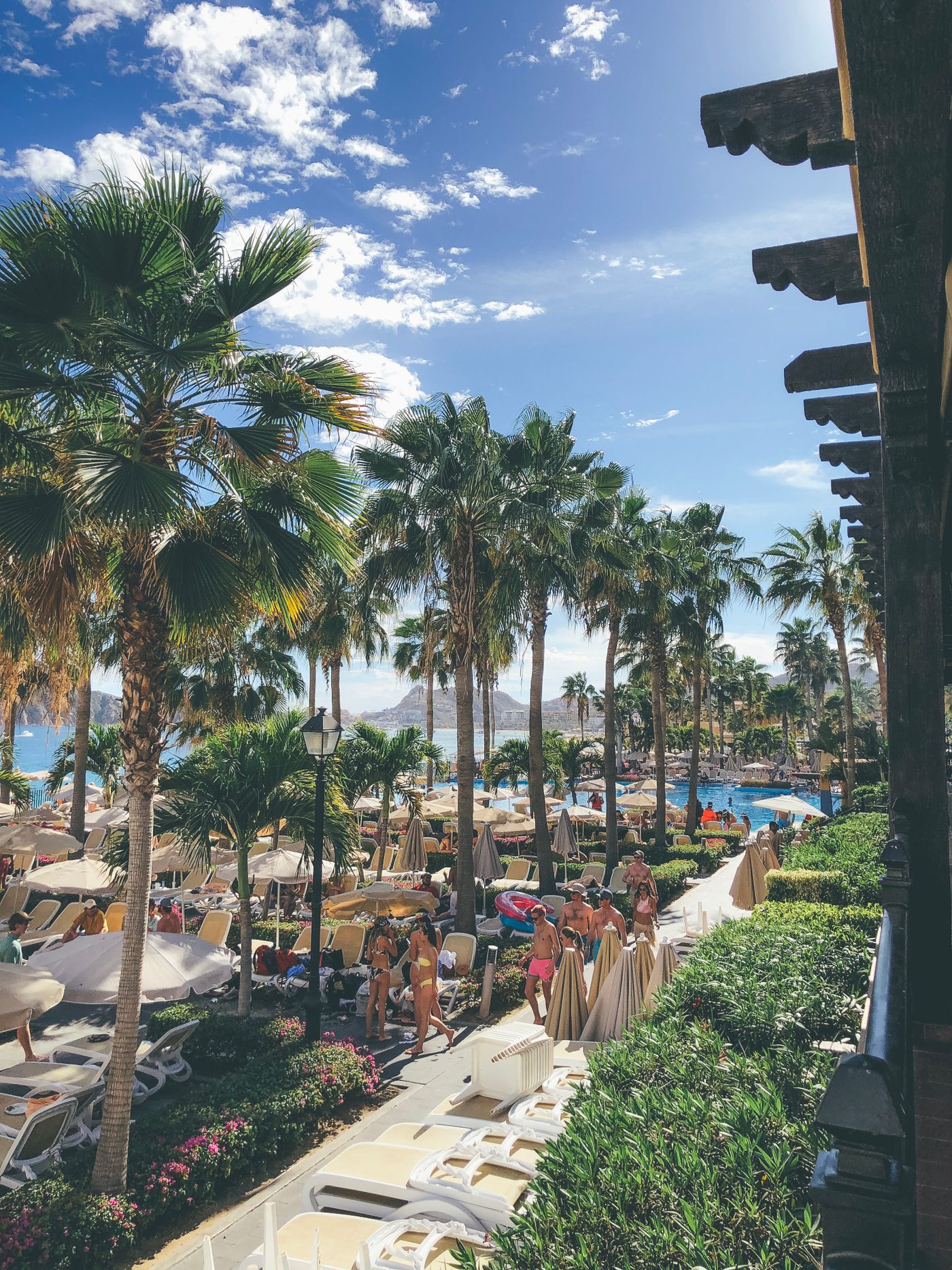 Sunny tropical holiday resort with swimming pool palm trees and sun loungers
