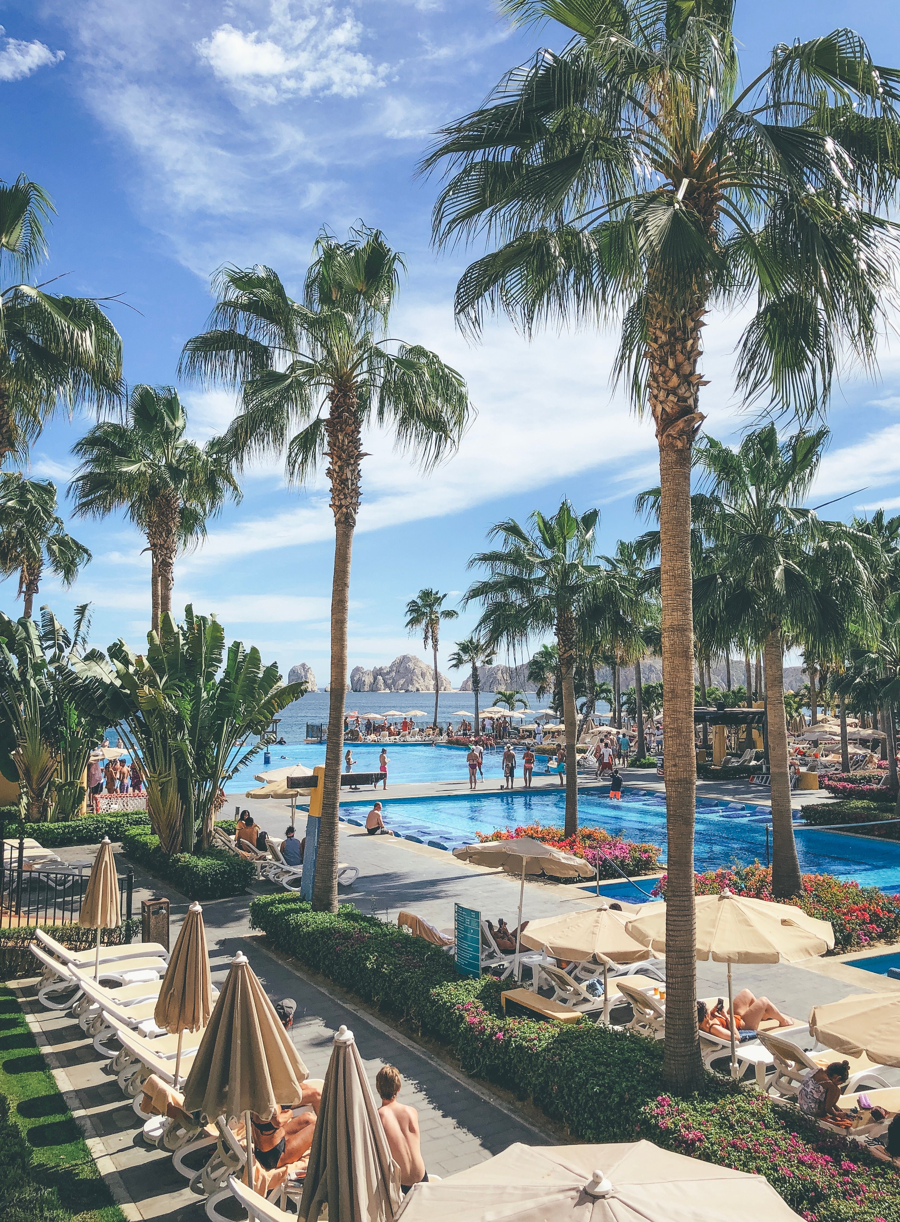 Palm Trees Near Swimming Pool · Free Stock Photo