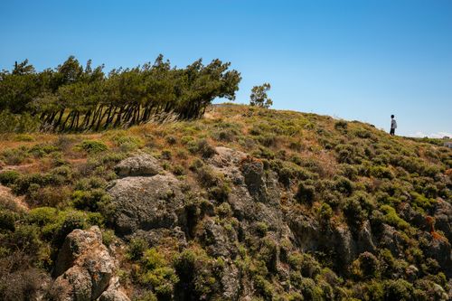 Free Lone person walking atop a scenic hill in Balıkesir, Türkiye, vibrant with greenery under a clear blue sky. Stock Photo
