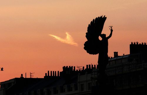 Free stock photo of abstraction, artistic silhouette, bird silhouette Stock Photo