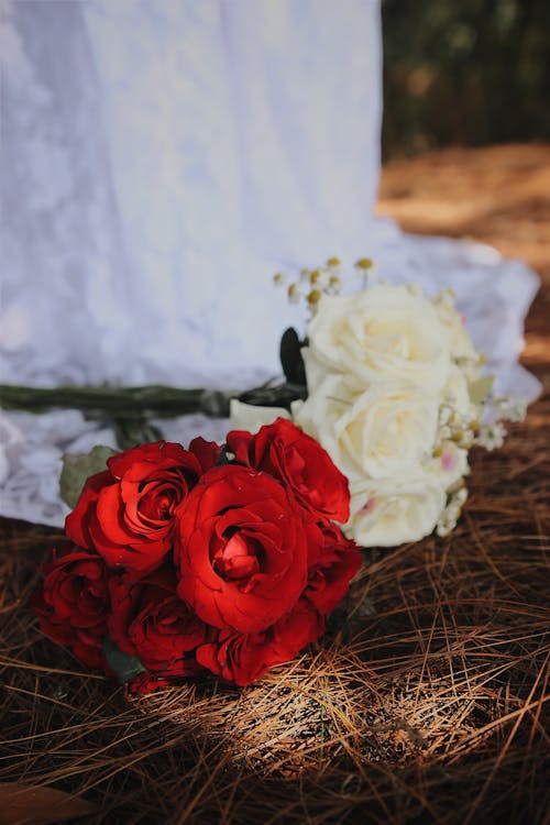 Free Red And White Roses  Stock Photo