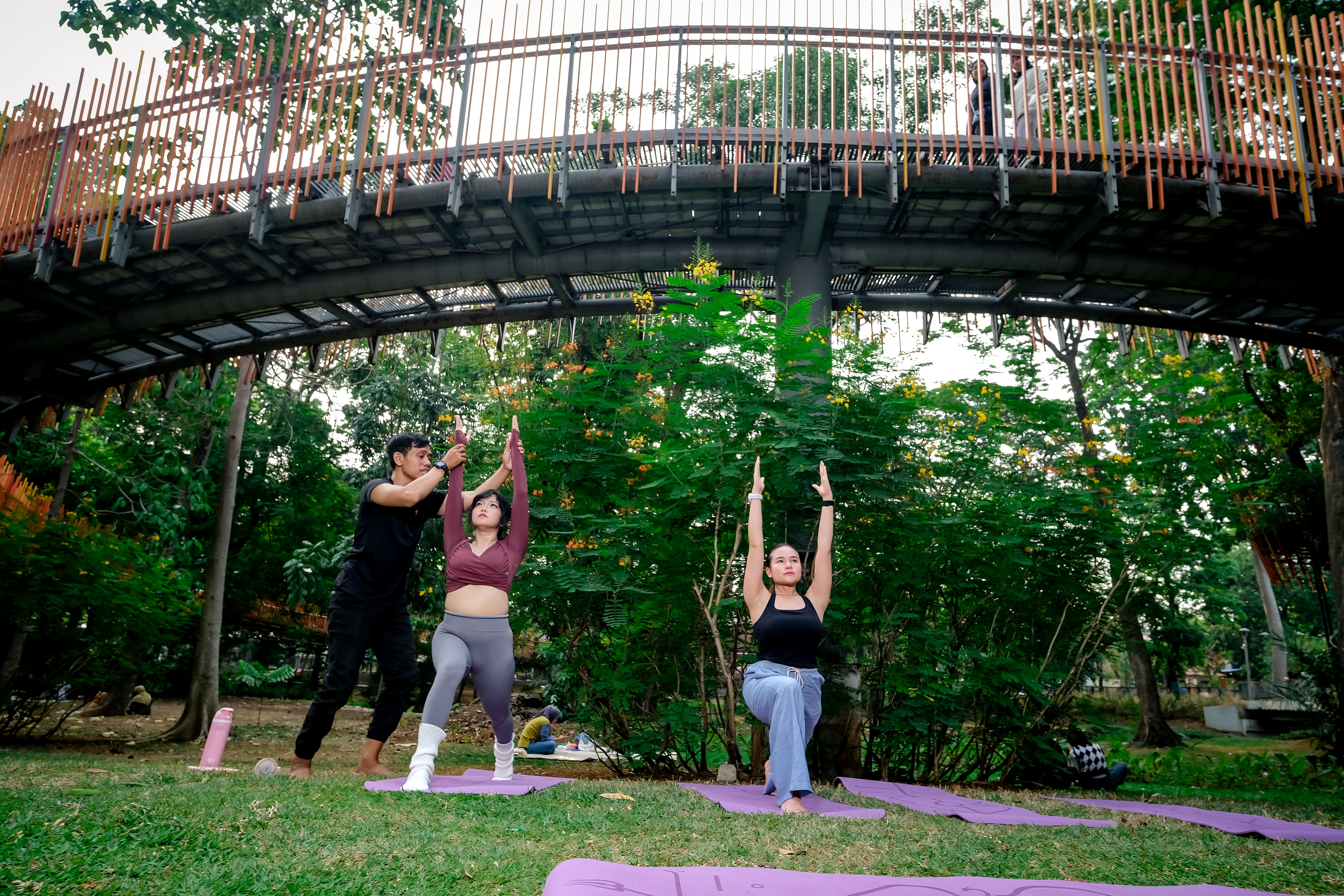 Transforming Urban Mental Health: The Role of Green Spaces urban green spaces me