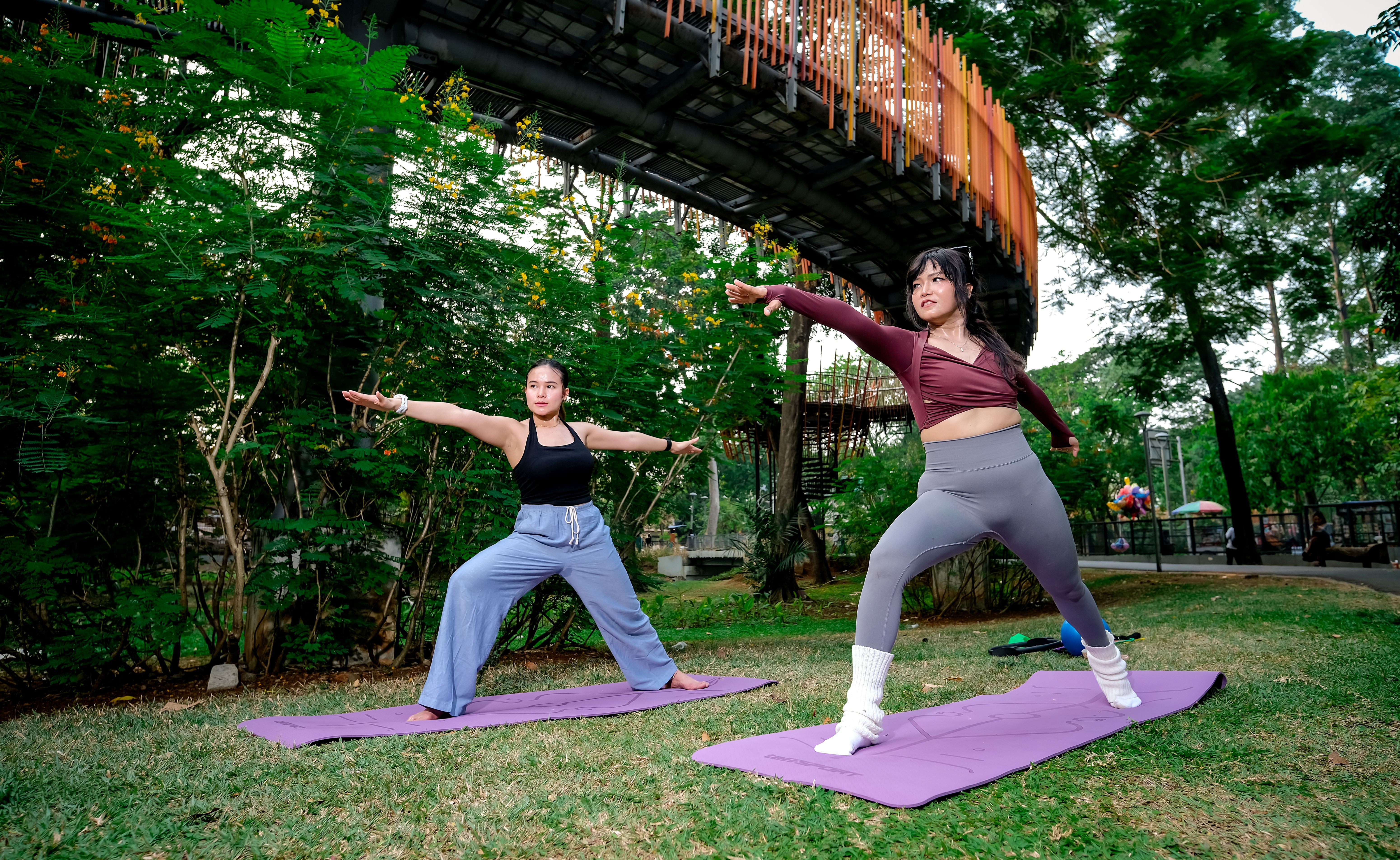 Sussex County Community College to Unveil New Outdoor Fitness Court Studio — Photo by Noval Gani on Pexels
