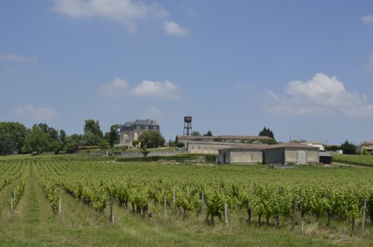 Arcachon oysters and Dune du Pilat — Bordeaux
