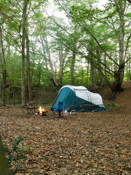 Free A peaceful camping scene in a forest with a tent, campfire, and chairs under lush green trees. Stock Photo