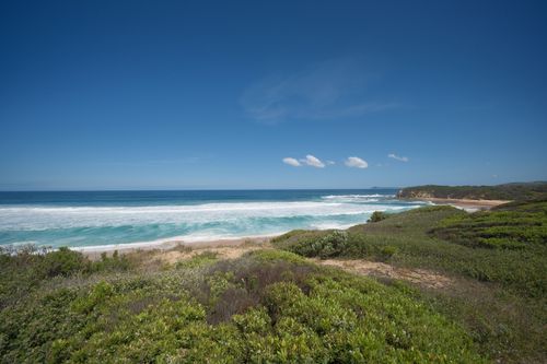 Free Breathtaking view of a coastal landscape with lush greenery and vibrant ocean waves under a clear blue sky. Stock Photo