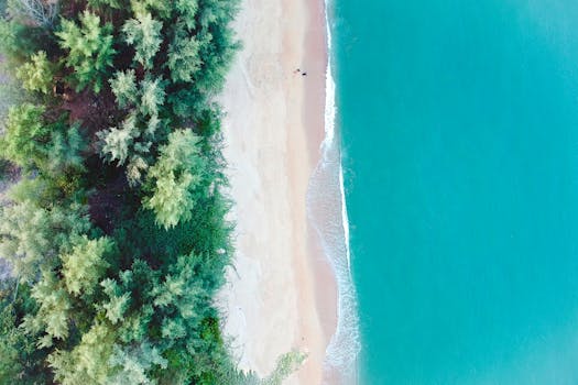 Stunning aerial shot of a tropical beach with turquoise waters and lush green trees.