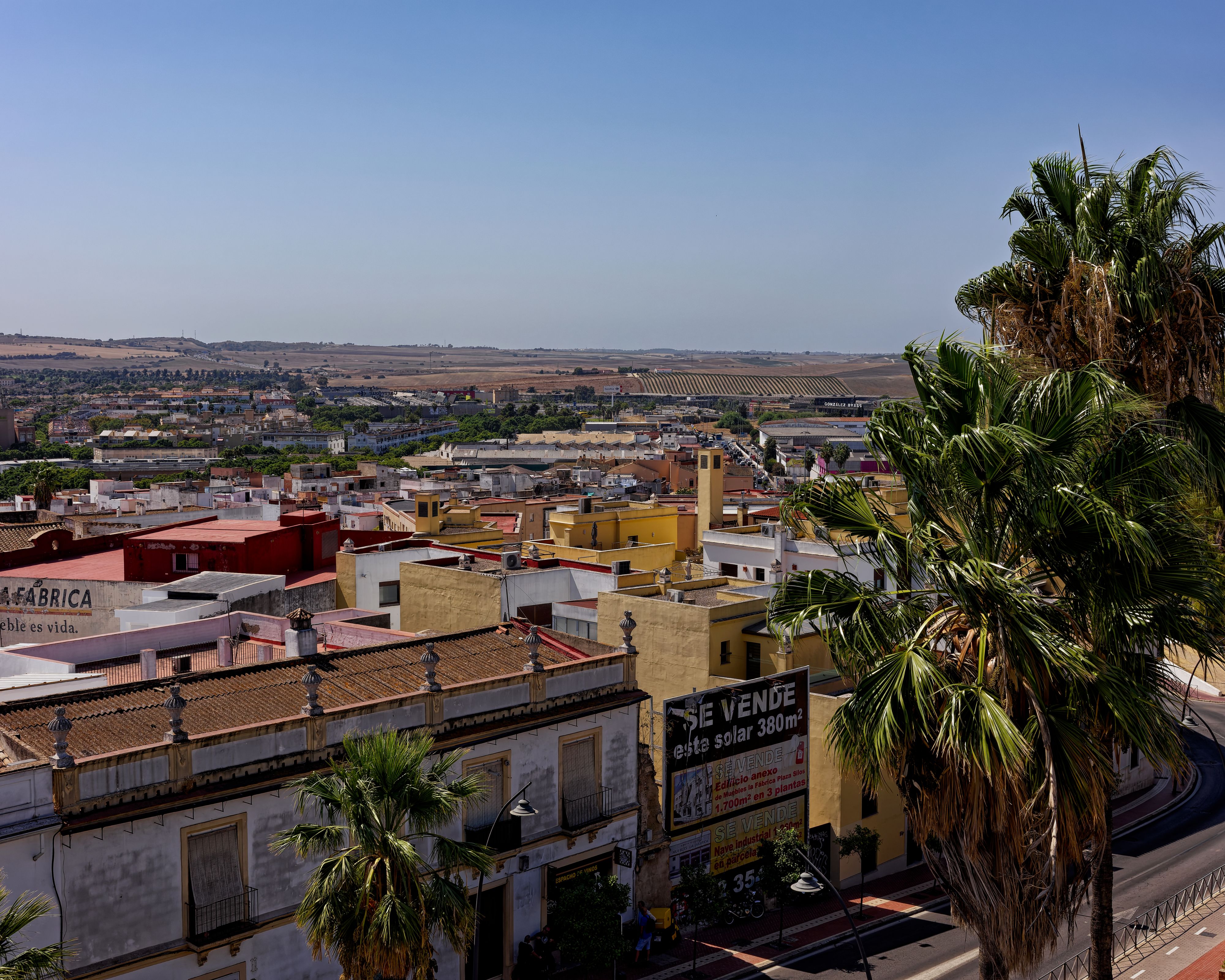 A vibrant panorama of an Andalusian town featuring colorful rooftops, palm trees, and a sunny landscape.