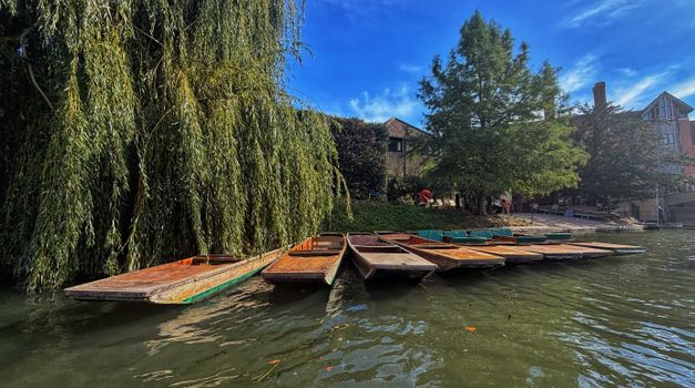 Scenic view of empty punts lined up by a willow tree along a riverside on a sunny day.
