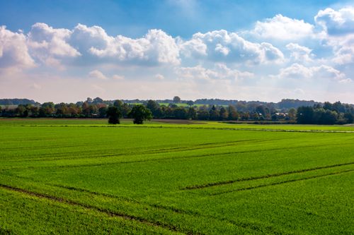 Free Expansive green fields under a bright blue sky in Coesfeld, capturing serene countryside vibes. Stock Photo