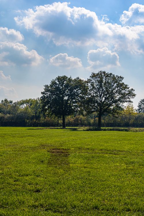 Free Serene landscape of a sunny green field under a blue sky with fluffy clouds in Coesfeld, Germany. Stock Photo
