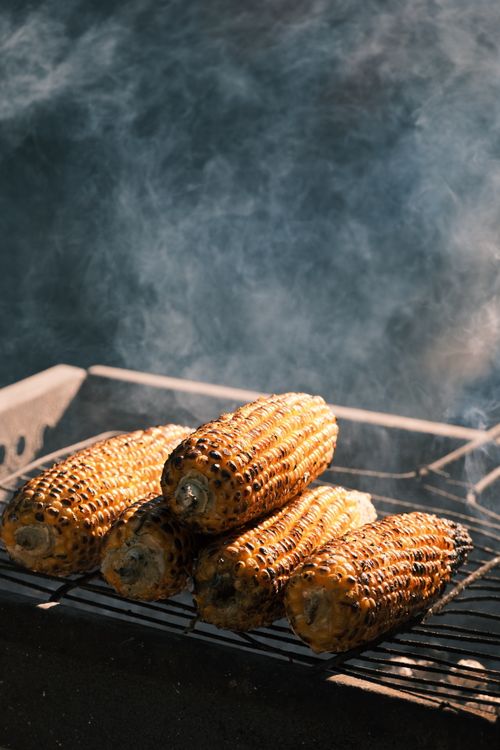 Free Tasty grilled corn on the cob cooking on an outdoor BBQ grill with rising smoke. Stock Photo