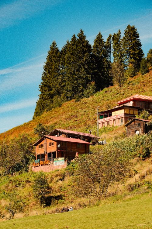 Free Charming wooden houses on a sunny hillside, perfect for peaceful retreats. Stock Photo