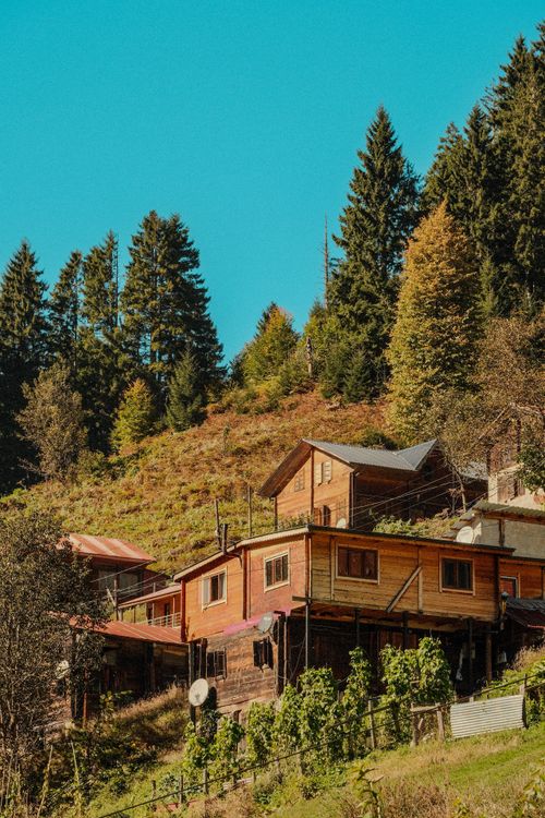 Free Rustic wooden cabins on a lush hillside during autumn, surrounded by dense forest. Stock Photo
