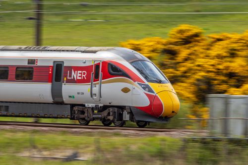 Free High-speed LNER train traveling through scenic countryside with yellow flowers. Stock Photo