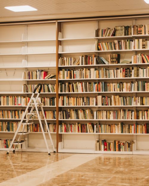 Free Library interior featuring a large bookshelf with books and a ladder for access, offering a cozy literary atmosphere. Stock Photo