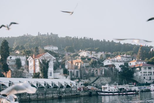 Travel inspiration