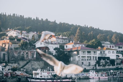 Travel inspiration