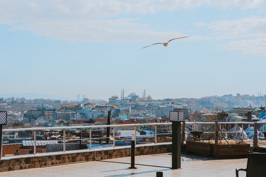 Captivating view of Istanbul skyline from a rooftop with a seagull flying overhead.