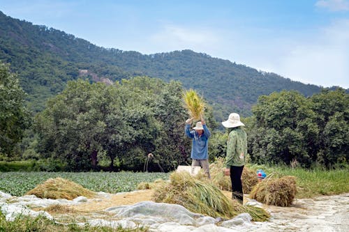 Immagine gratuita di bầu trời xanh, cảnh núi non, cặp vợ chồng châu á