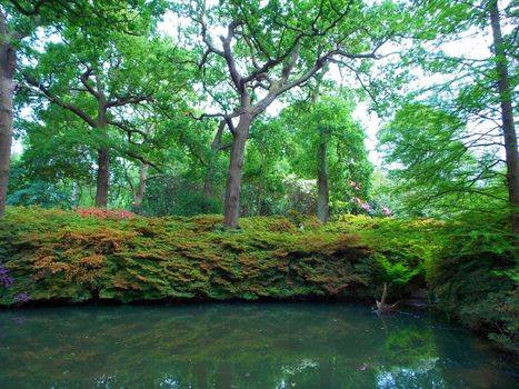 白天，一个花园池塘的宁静户外场景被郁郁葱葱的绿色植物和高大的树木包围
