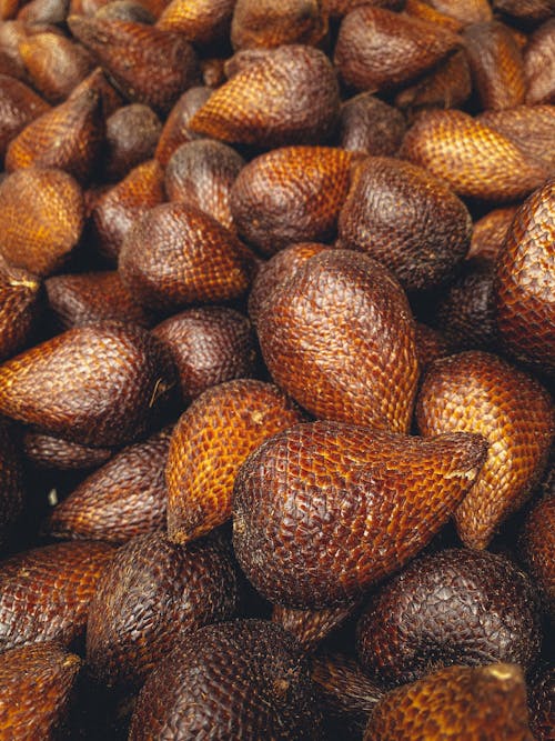 Free Bunch of ripe brown tropical salak fruits also known as snake fruit from palm tree for natural background Stock Photo