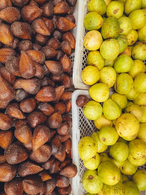 Indulge in the Fresh and Exotic Ingredients That Define Costa Rican Mixology