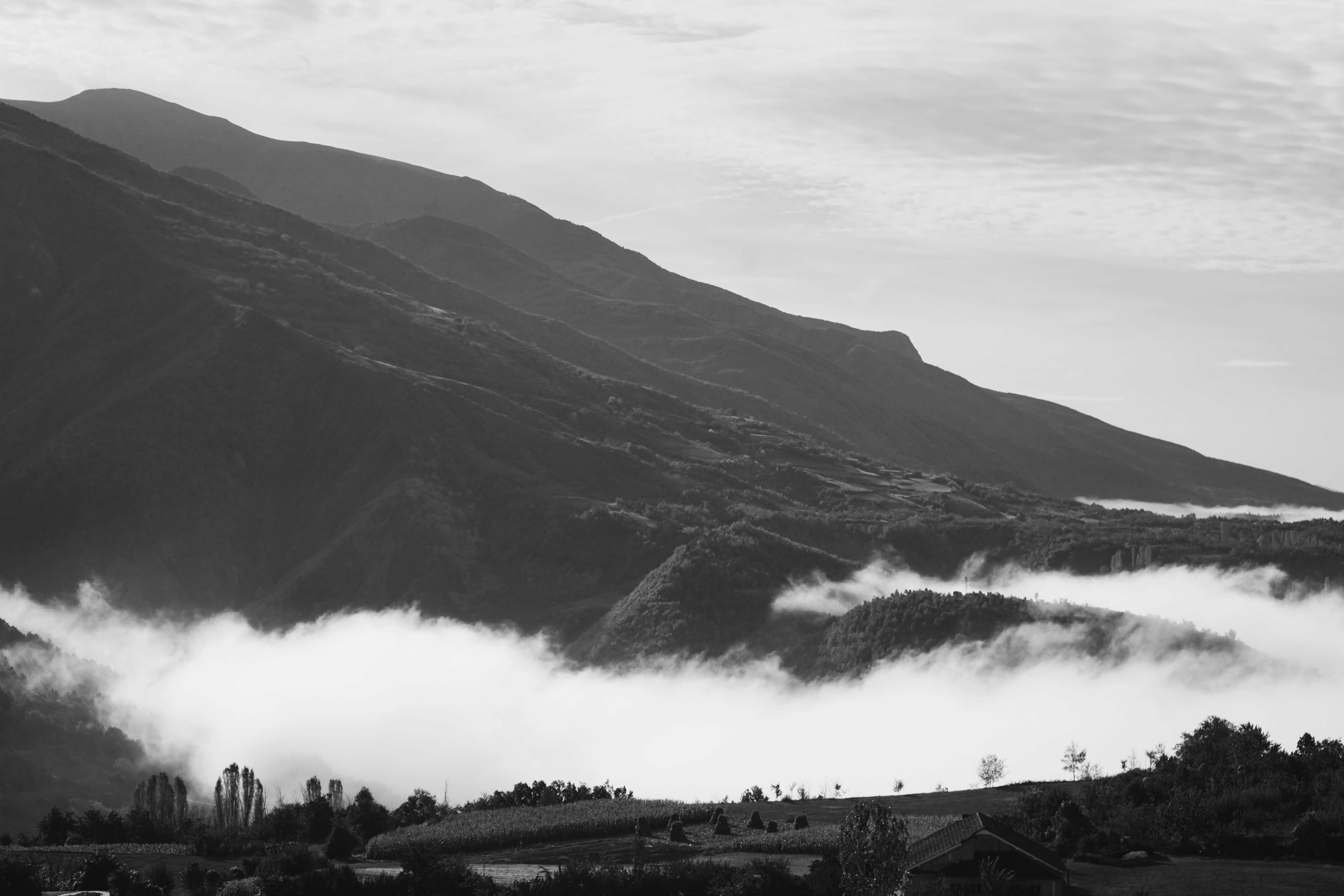 A serene black and white image of a mountain landscape shrouded in mist, exuding tranquility.
