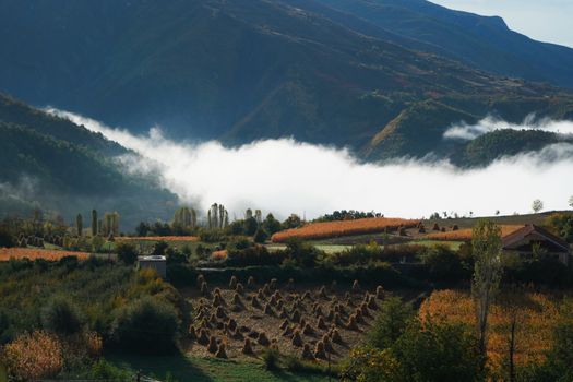 Breathtaking view of a misty valley with autumn colors and mountains in the background.