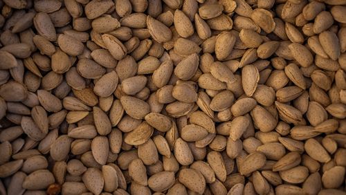 Free Top view of raw almond nuts in their shells, showcasing natural texture. Stock Photo