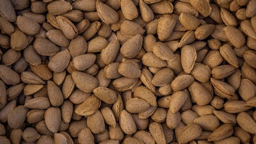 Free High-resolution close-up of raw almonds in shells, showcasing texture and detail, captured in Battalgazi, Türkiye. Stock Photo
