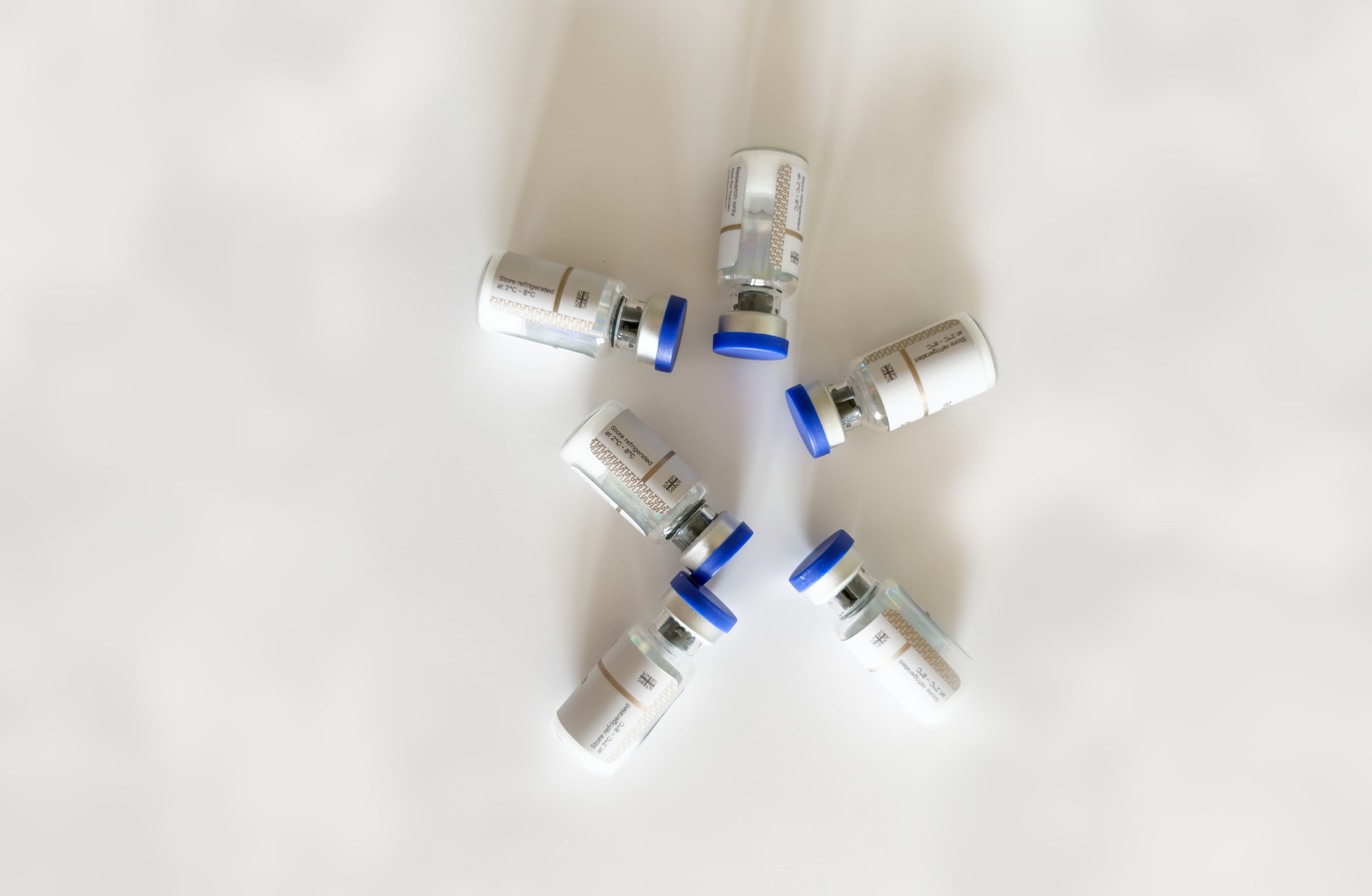 Celestia and Injective Lead Altcoin Gains Amid Bitcoin Price Stability